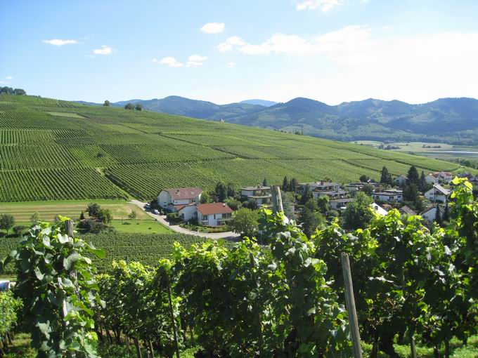 Kirchberg Ehrenkirchen: Blick Gewann