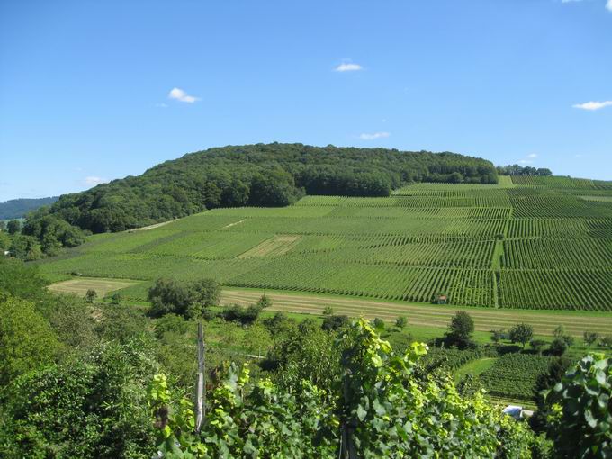 Kirchberg Ehrenkirchen: Gewann Rosenberg