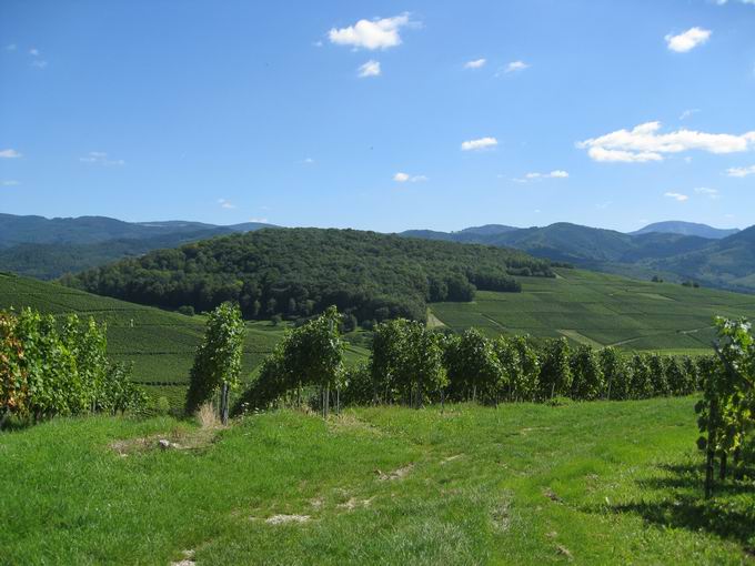 Kirchberg Ehrenkirchen: lberg