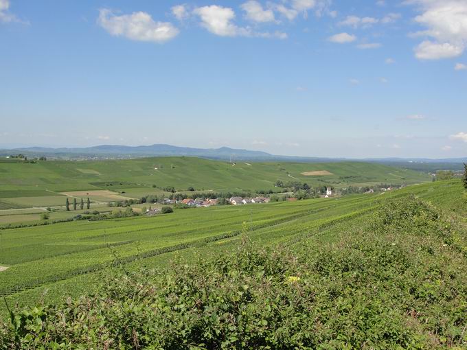 Kirchberg Ehrenkirchen: Pfaffenweiler