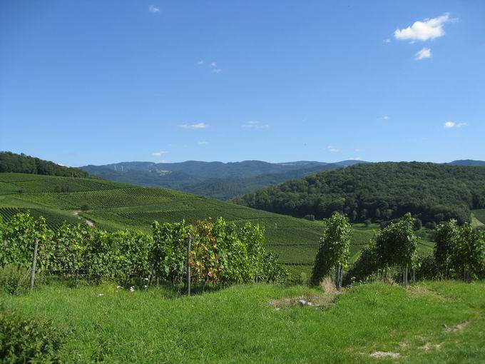 Kirchberg Ehrenkirchen: Schauinsland