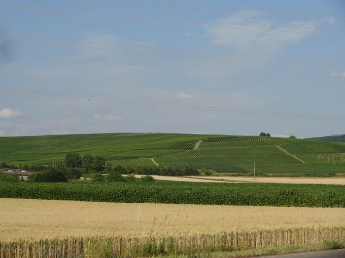 Norsingen: Batzenberg