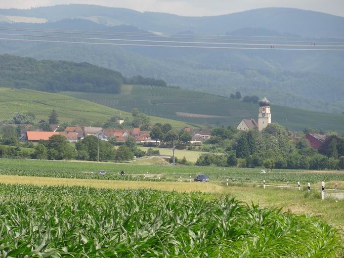 Norsingen: Blick Kirchhofen