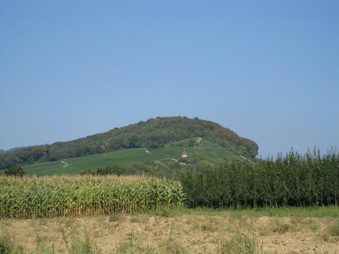 lberg Ehrenstetten: Sdansicht