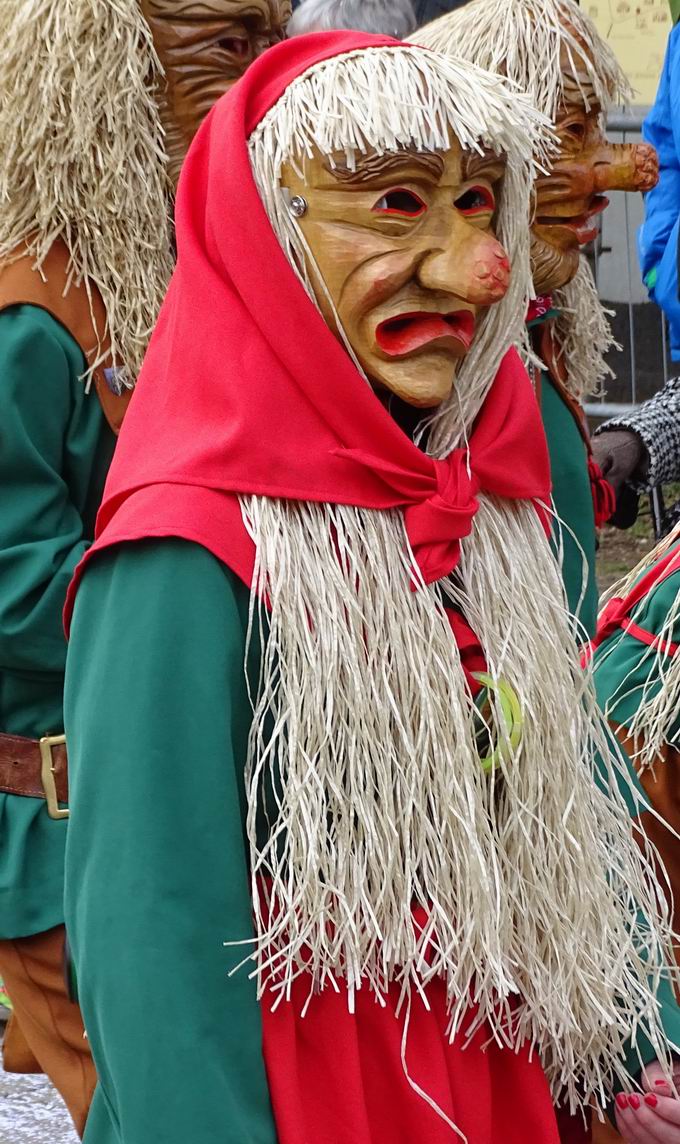 Narrenumzug in Waldkirch-Buchholz 2017