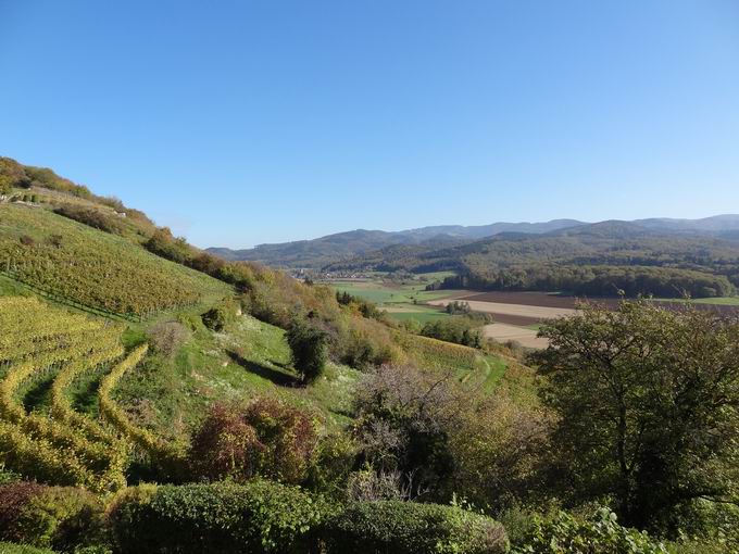 lbergkapelle Ehrenstetten: Blick Hexental