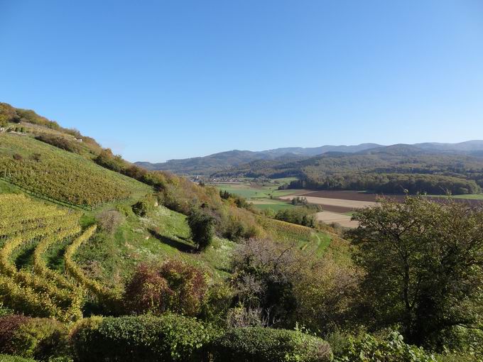 lbergkapelle Ehrenstetten: Blick Hexental