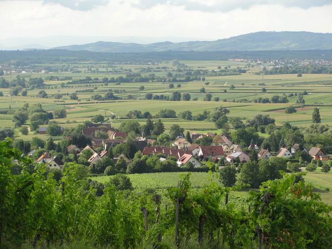 Scherzingen im Breisgau