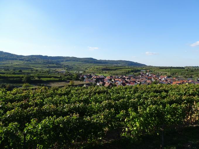 Eichstetten am Kaiserstuhl