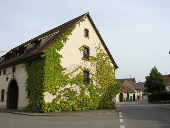 Eichstetten am Kaiserstuhl