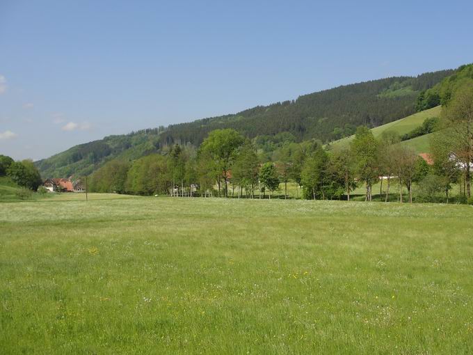 Fisnacht Prechtal: Talaue