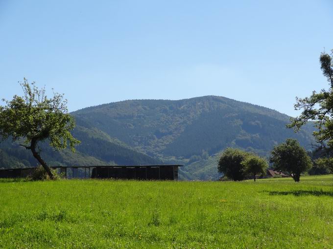 Gschasikopf (1046m)