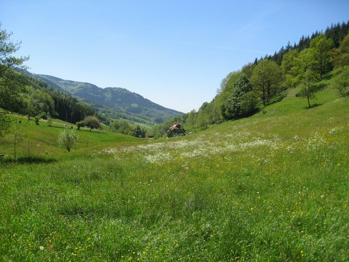 Elztal im Schwarzwald