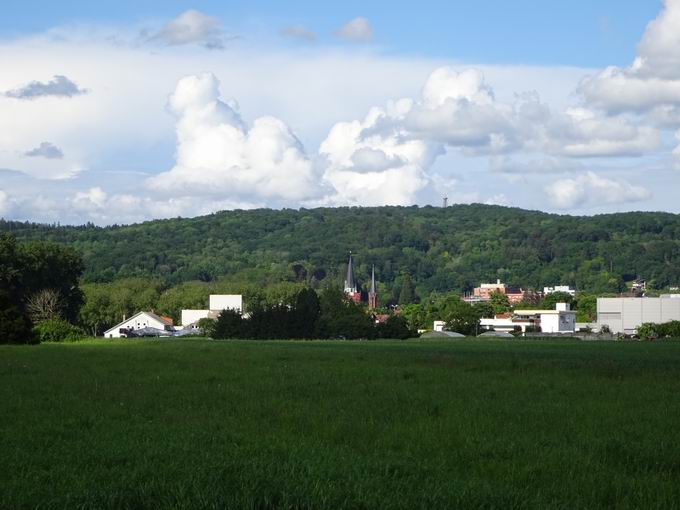 Eichberg bei Emmendingen (369m)