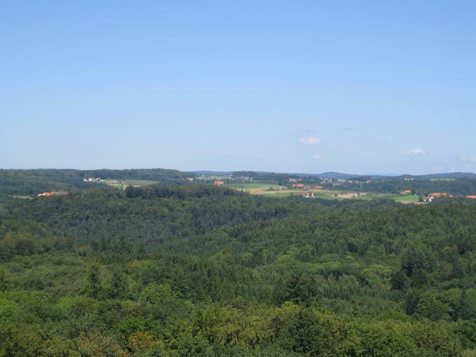 Forst  beim Tennenbacher Tal