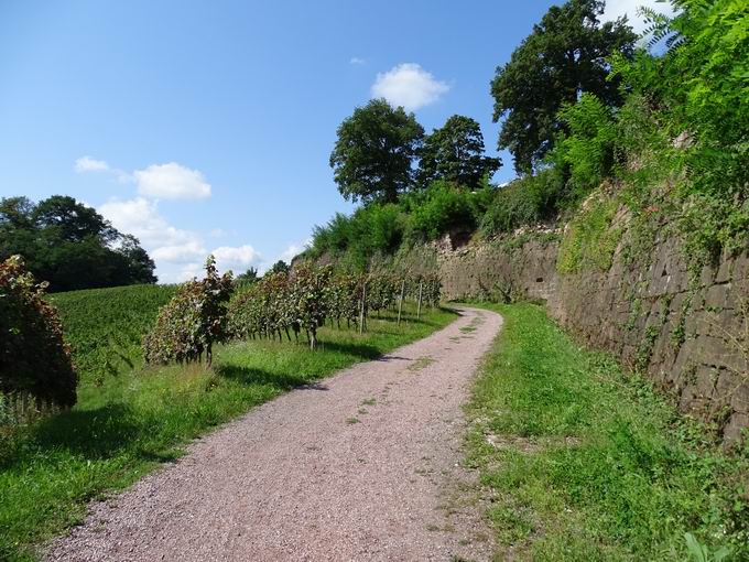 Burgruine Hochburg bei Emmendingen