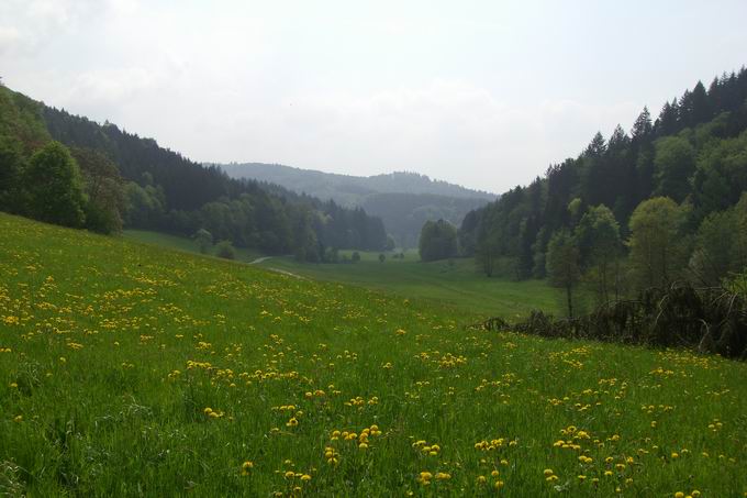 Kloster Tennenbach