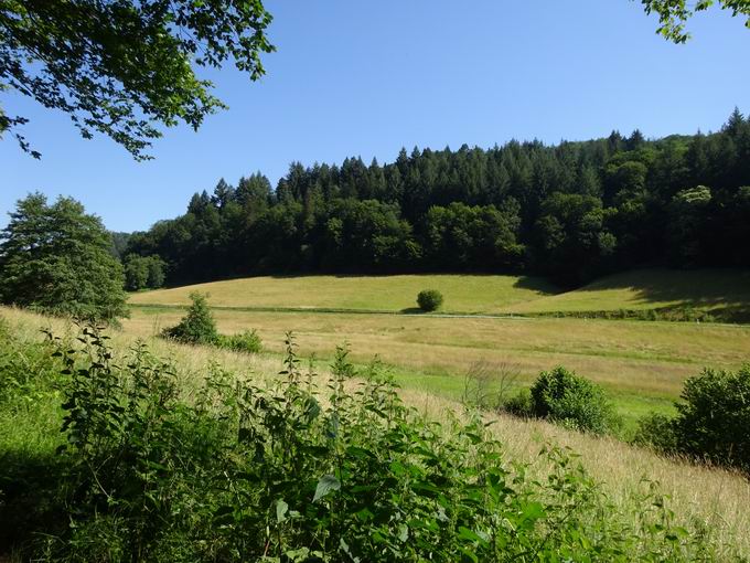 Sonnenzielstraße Tennenbacher Tal