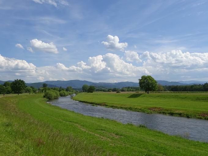 Elz bei Wasser im Breisgau