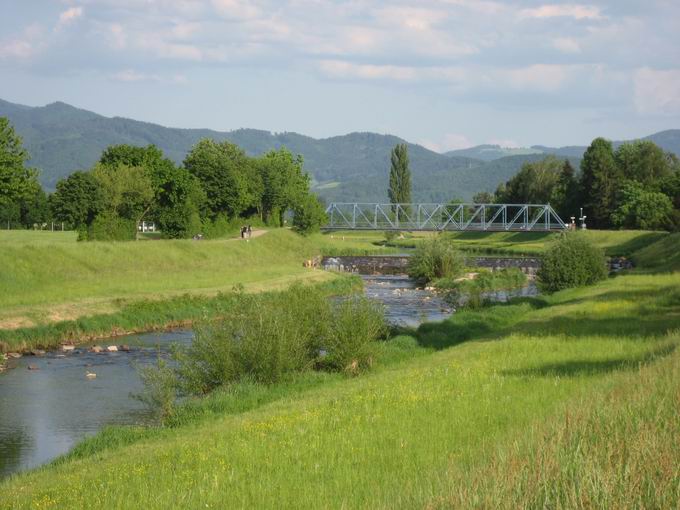 Wiesenbrcke Wasser