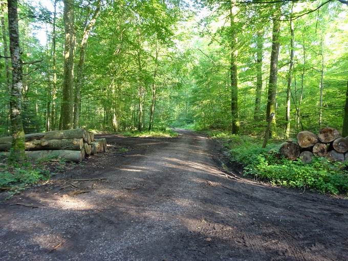Historisches Verkehrszeichen Windenreute