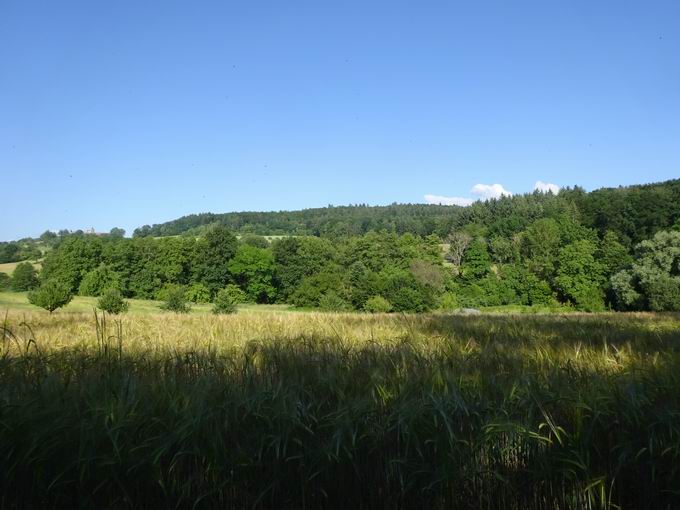 Reitanlage an der Hochburg: Blick Hornwald