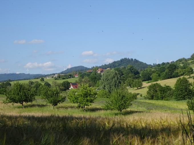 Reitanlage an der Hochburg: Blick Staatsdomne Hochburg