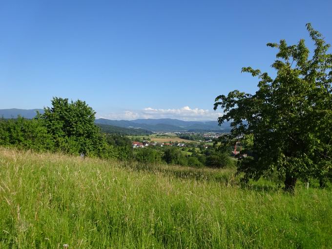 Weiherberg Windenreute: Blick Sexau
