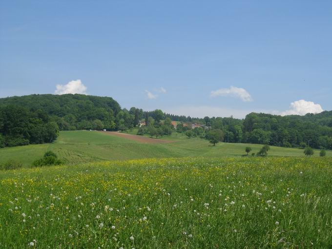 Emmendingen Stadt