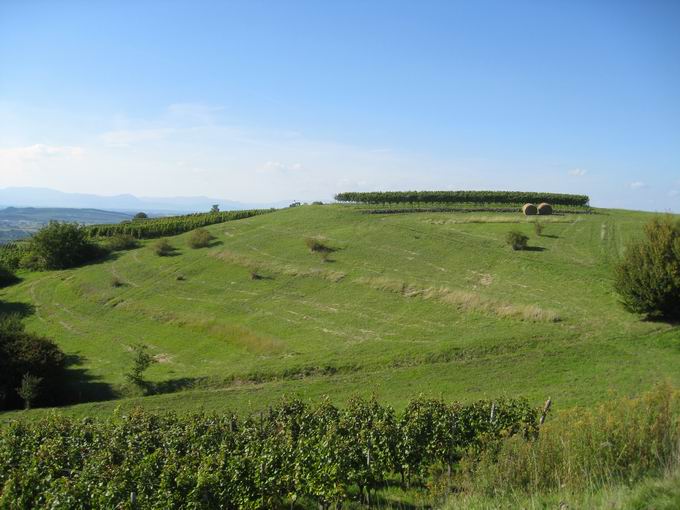 Kaiserstuhl