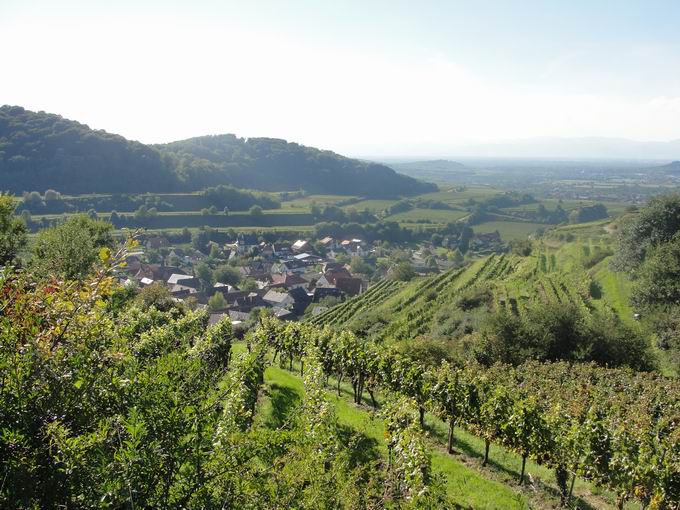 Endingen am Kaiserstuhl