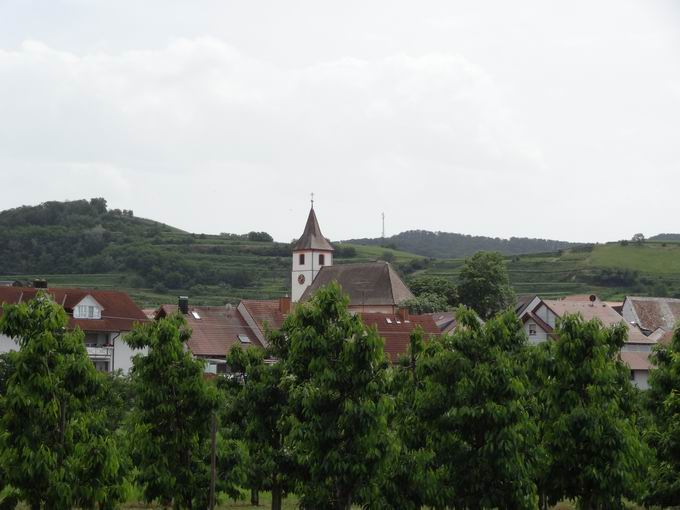 Knigschaffhausen
