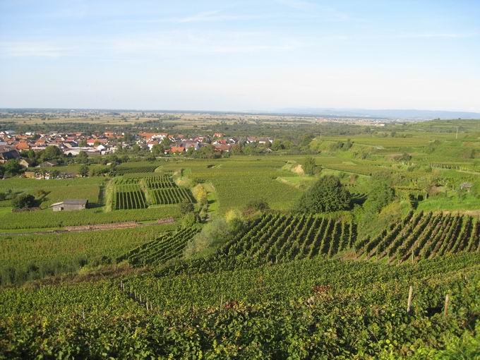 Gausberg Knigschaffhausen