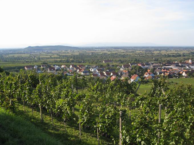 Gausberg Knigschaffhausen: Blick Limberg