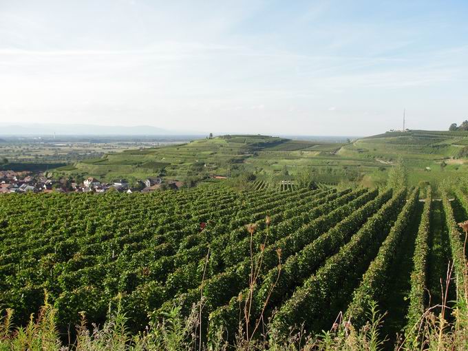 Kiechlinsbergen am Kaiserstuhl