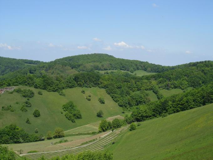 Kaiserstuhl