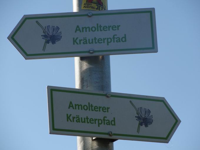 Kruterpfad Amoltern