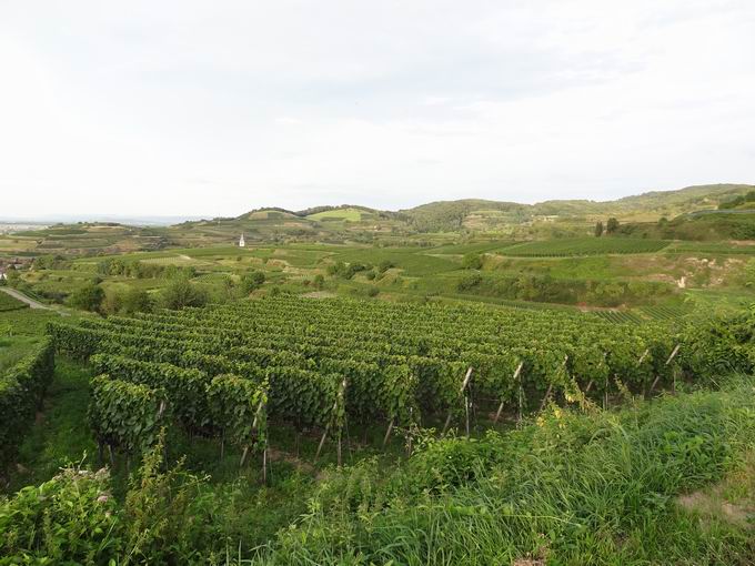 Kiechlinsbergen am Kaiserstuhl