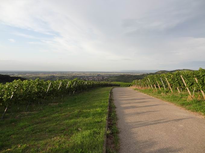 Kiechlinsbergen am Kaiserstuhl