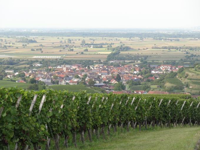 Spielberg Kiechlinsbergen: Blick Knigschaffhausen