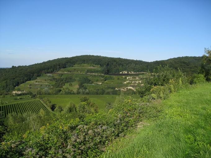 Kiechlinsbergen am Kaiserstuhl