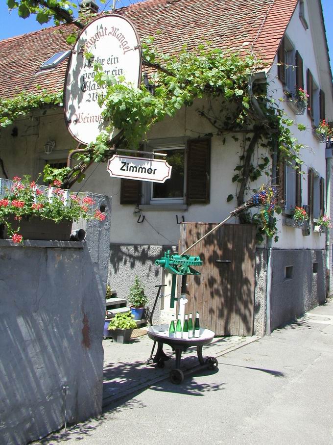 Straue Weingut Mangel Kiechlinsbergen