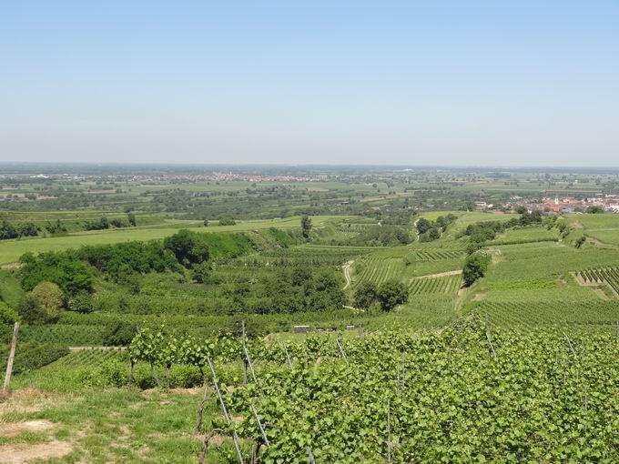 Kiechlinsbergen am Kaiserstuhl