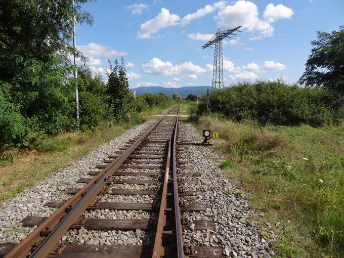 Gewerbepark Breisgau: Industriegleis