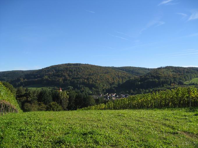 Klosterwald Ettenheimmnster