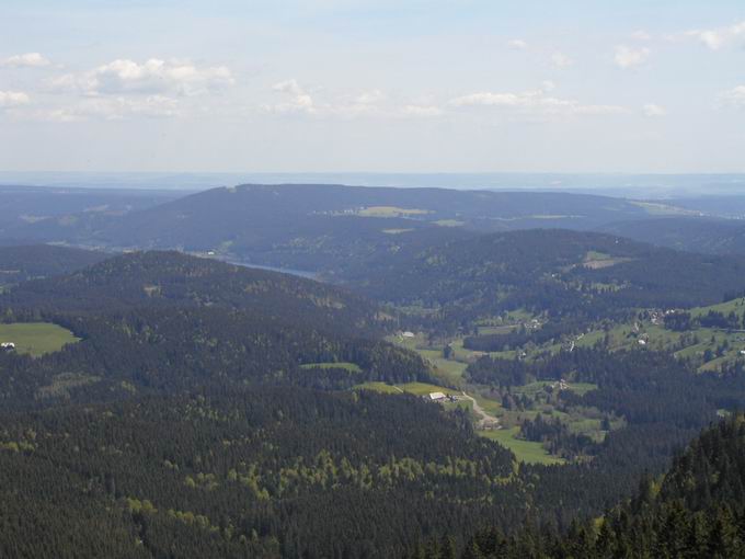 Gemeinde Feldberg im Schwarzwald