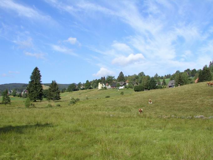 Gemeinde Feldberg im Schwarzwald