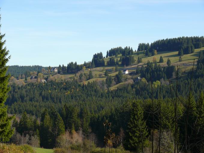 Gemeinde Feldberg im Schwarzwald