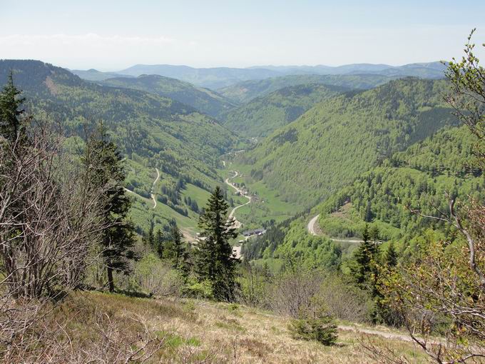 Hochschwarzwald