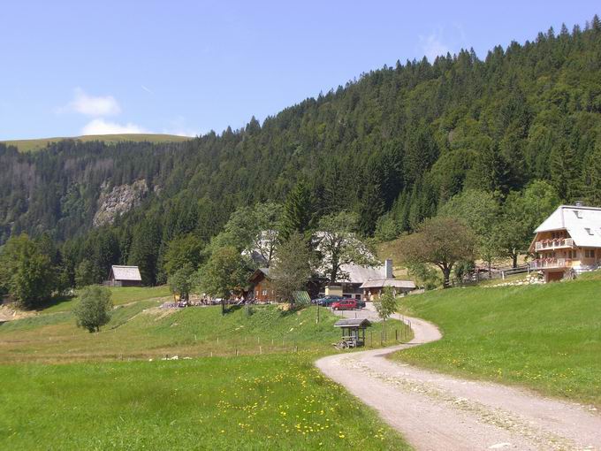 Gemeinde Feldberg im Schwarzwald